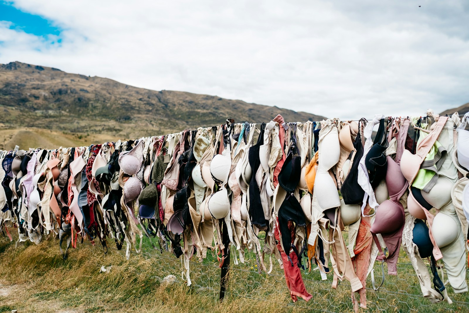 assorted bras hanged on wire